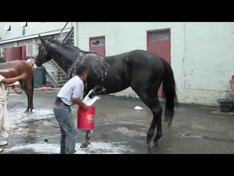 I Want Revenge breezes June 17 at Big A