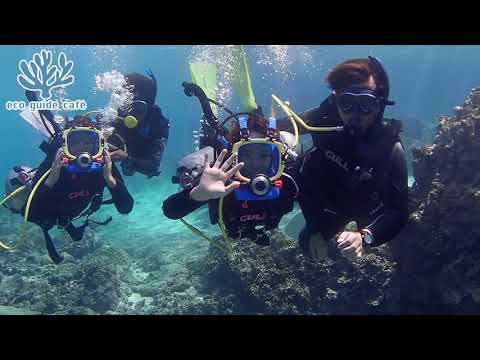 エコガイドカフェプロモーション2020