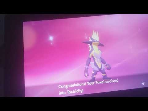 how to evolve your toxel into toxtricity in pokemon sword and shield