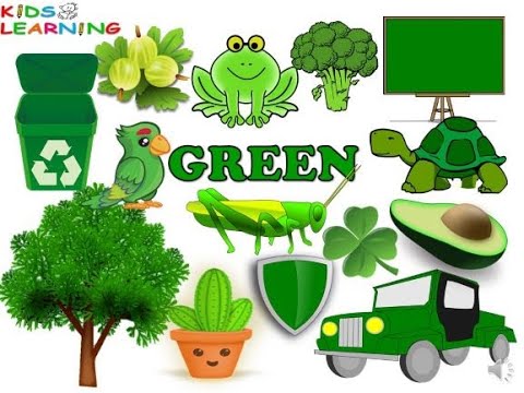 Green colour I Things that are green in colour I Flash cardsI green colour things
