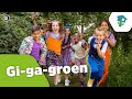 Kinderen voor Kinderen | Gi-ga-groen (Officiële videoclip)