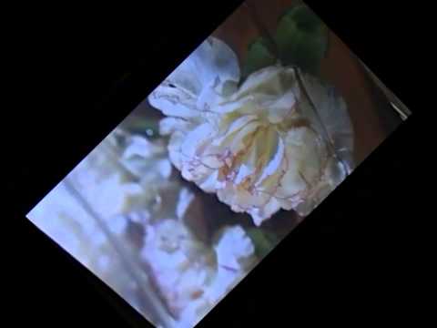 Jorge Reyes - Quito, sobborgo del cielo - Lettura di Luigi Vannucchi