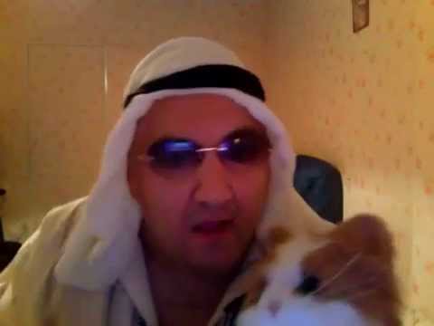 La réponse à BAFABOY et son chat