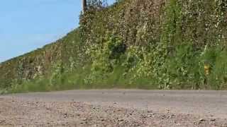 preview picture of video 'Circuit of Ireland Rally 2014 - Newtownards/Loughries stage'