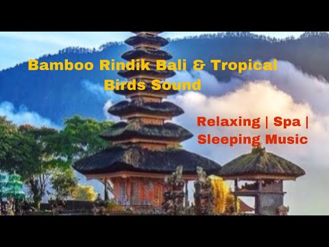 Bamboo Rindik Bali Indonesia & Tropical Birds sounds .   Relaxing| Spa | Sleeping Music