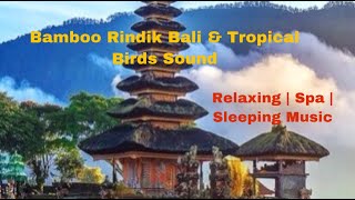 Download lagu Bamboo Rindik Bali Indonesia & Tropical Birds sounds .   Relaxing| Spa | Sleeping Music mp3
