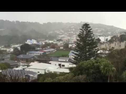 Snow falls in Wellington