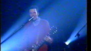 Pollyanna &quot;Black Bear&quot; Live on ABC