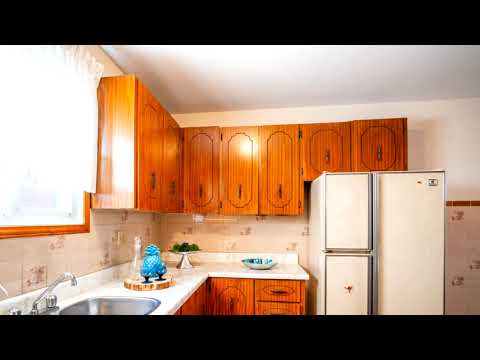 19 Bristol Street, Hamilton