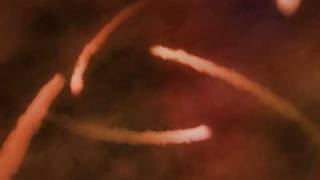 偏偏喜歡你, "I Just Love You" (piano version)