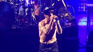 &quot;Don&#39;t Forget Me/Dreams Of A Samurai&quot; Red Hot Chili Peppers @ Pala Alpitour Torino 10/10/2016