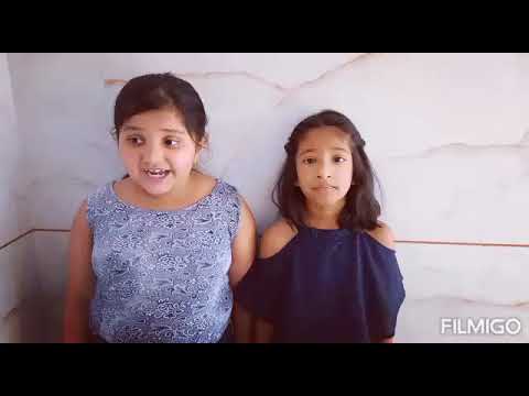 Our building cats🐱