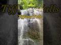 Tiffany Falls. Hamilton Waterfalls. Niagara Escarpment #niagaraescarpment  #Tiffany #waterfalls