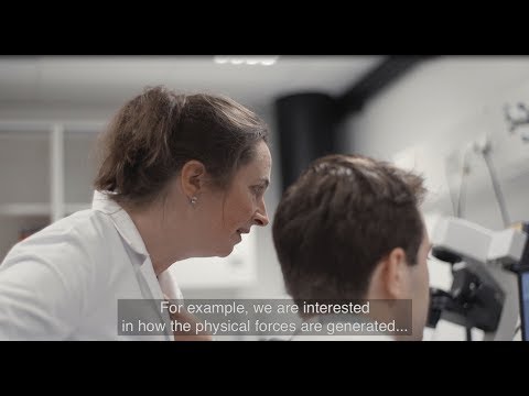 Spinoza Laureate 2018 - Marileen Dogterom