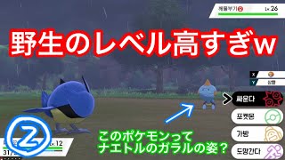 #02【ポケモン剣】なんでこんなにレベル高いの？【実況】韓国語
