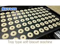 Soft Biscuit Making Machine Tray Type Rotary Moulder Cookie Maker
