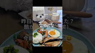 #新潟市西区の空#朝活#ウォーキング#お弁当#日常Vlog                      おはようございます無理せず　頑張りましょう☺️今朝も元気のお裾分けです💪💪#健康第一