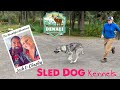 Denali Sled Dog Kennels | Denali National Park and Preserve