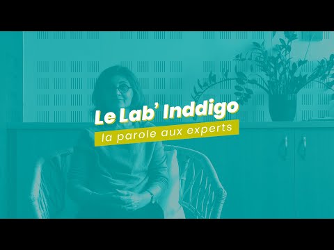 Le Lab' Inddigo #1 — Quelle est la place de l'innovation chez Inddigo ?