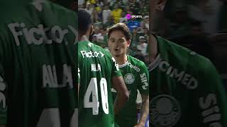 ALLAN X ENZO! ROLOU UM EMPURRA-EMPURRA ENTRE OS JOGADORES DO PALMEIRAS E SÃO PAULO #shorts