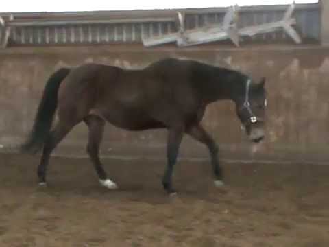 Romantique xx von Big Shuffle xx - Surumu