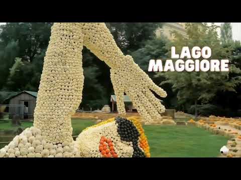 Borgomanero capofila della rete europea URBACT IV “CityLake”