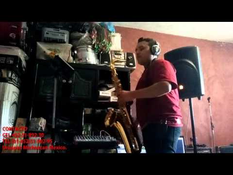 USTED - FRED SAX - ensayo