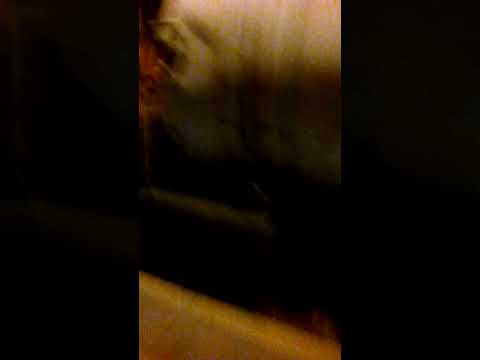 Tren de carga en Roboré - Santa Cruz - Bolivia 27 de diciembre de 2017 #shorts #tren #bolivia