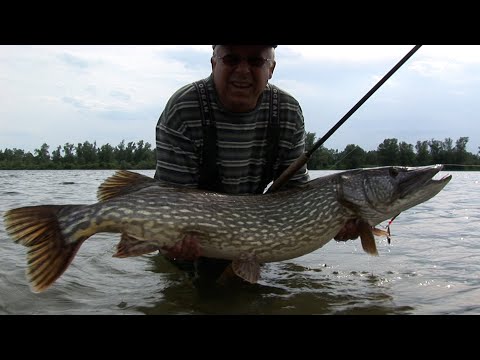 Mit dem Spinner zum Gewinner