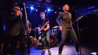 Dr Feelgood and Nine Below Zero live - Great Balls of Fire