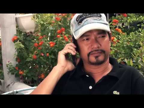 Xuân lỗi hẹn - Phạm Anh Cường