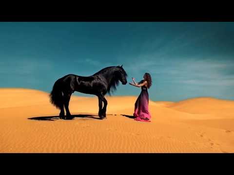 Disco Modern Talking - Show me the way. magic travel nostalgia Bad Boys Blue remix