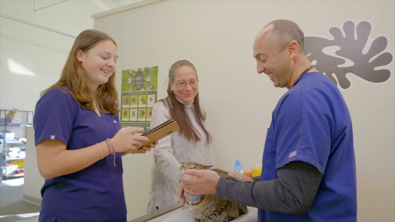 Neo Cloud-Based Veterinary Practice Management Software