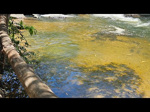 CHÁCARAS DE 20.000M A VENDA NO BOLETO,  PARCELAS DE 999 EM ALEXÂNIA-GO 
