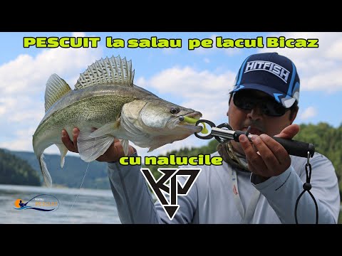 KP Baits Lazy Shad 10cm 093 