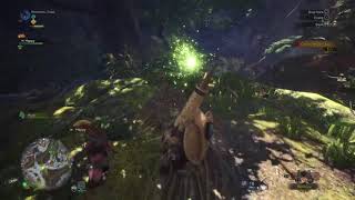 Eazy way to steal wyvern egg ancient forest. Monster Hunter: World