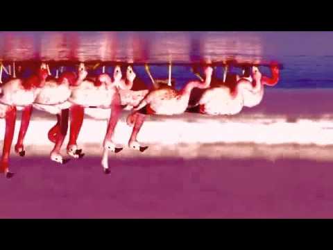 Serum 114 - Flamingo Flemenco (Attenborough on Acid Mix)