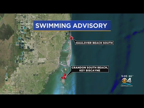 Miami-Dade County Issues No-Swim Advisory For Two Beaches Due To High Levels Of Bacteria