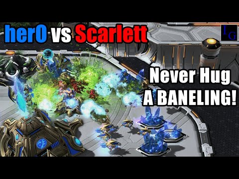 The BANELING Hit Squad! (herO vs Scarlett) | StarCraft 2 SC2 Professional Game Highlight Pro Match