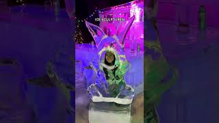 Most Unique Attraction in Fairbanks, Alaska