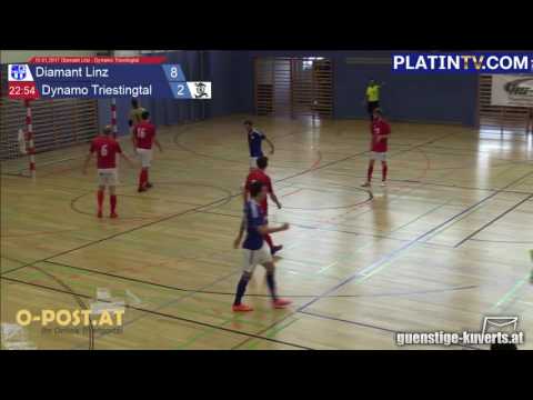 15.01.2017 Diamant Linz - Dynamo Triestingtal - 9:2  (2. Halbzeit / 22:58) am 15.01.2017 15:11