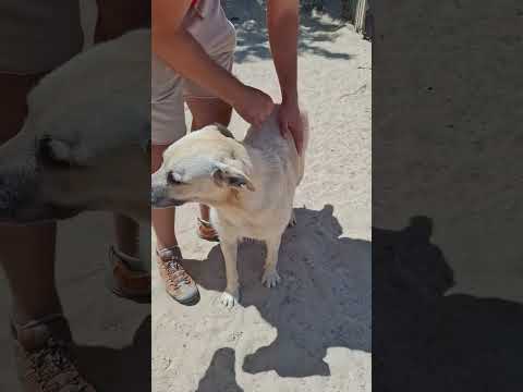 Vídeo de ASPEN