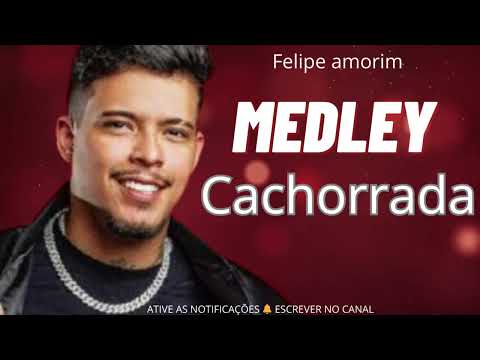 FELIPE AMORIM MEDLEY CACHORRADA 2024 SÓ MELHORES DE OUTUBRO 2024