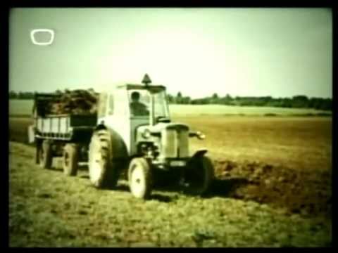 Féreg gyurusféreg. râmă - fordítás - Román-Magyar Szótár