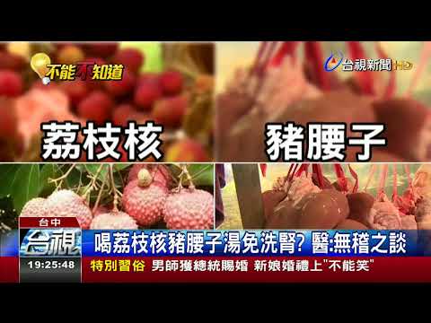 喝荔枝核豬腰子湯免洗腎 醫：無稽之談