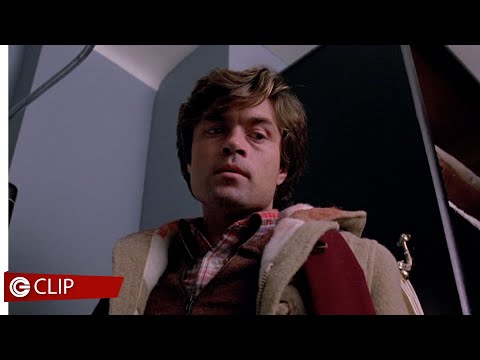 Brood - La covata malefica - Palle di vetro