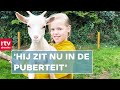 Wordt dwerggeit Timothy Huisdier van het jaar? | RTV Drenthe