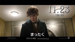 宮野真守が「ハリポタ」続編の主人公を“熱演”　映画「ファンタスティック・ビーストと魔法使いの旅」特別映像