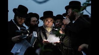 האדמו''ר מרחמסטריווקא בברכת האילנות בצפון