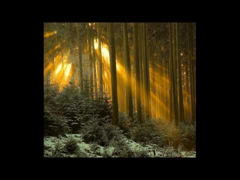 Șerban Marcu - Soare-n cer, soare-n pământu (Corul Madrigal, 2020)